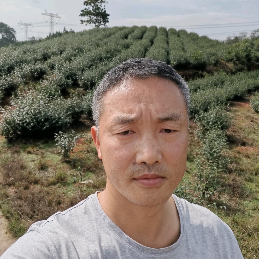 江哥，绿优茶叶种植家庭农场。