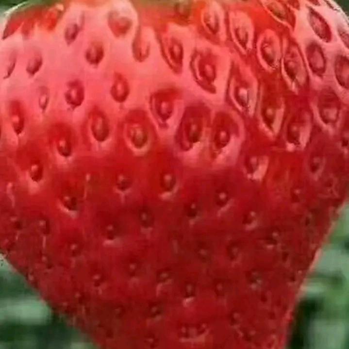 腾缅百货