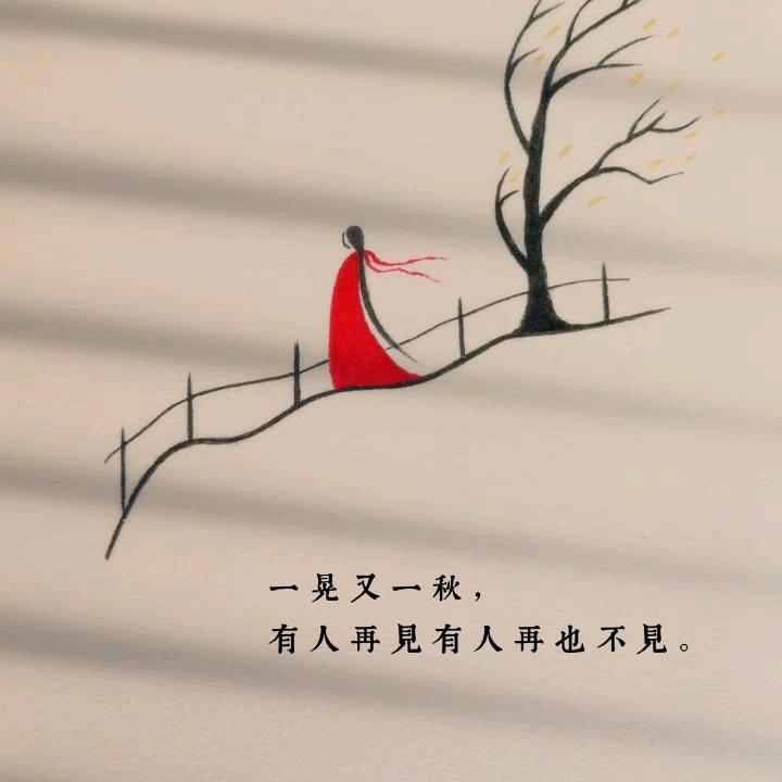 小黛林-玉儿