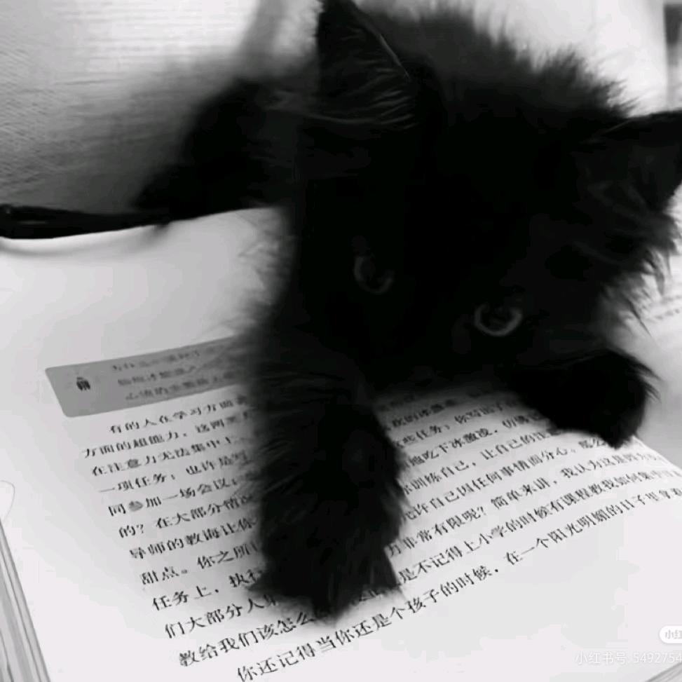 我想要两颗西柚