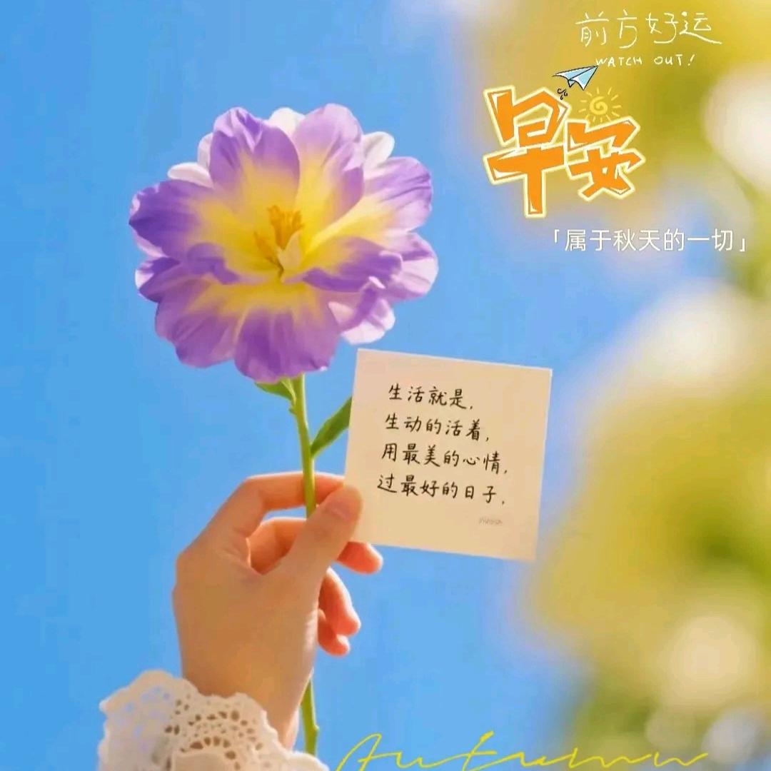 颜值自救所