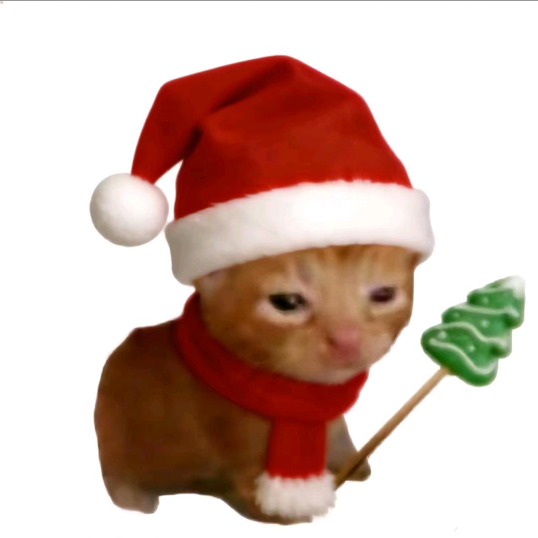 小猫厨师长（王原双修版）（圣诞节版）