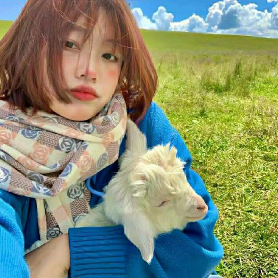 秋秋🔮（雷诺曼）