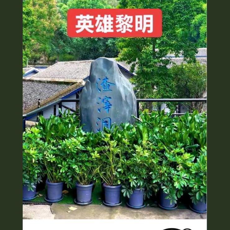熊哥