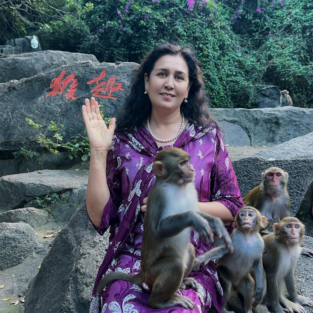 semra董事伊力米奴