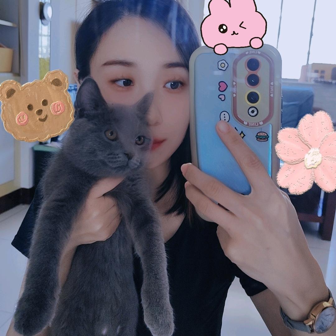 何以解忧