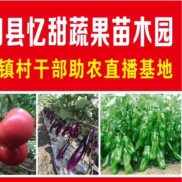 忆甜蔬果苗木园