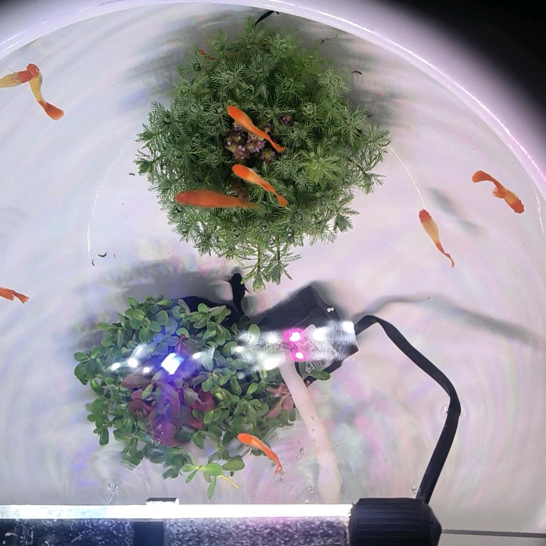 开心快乐每一天