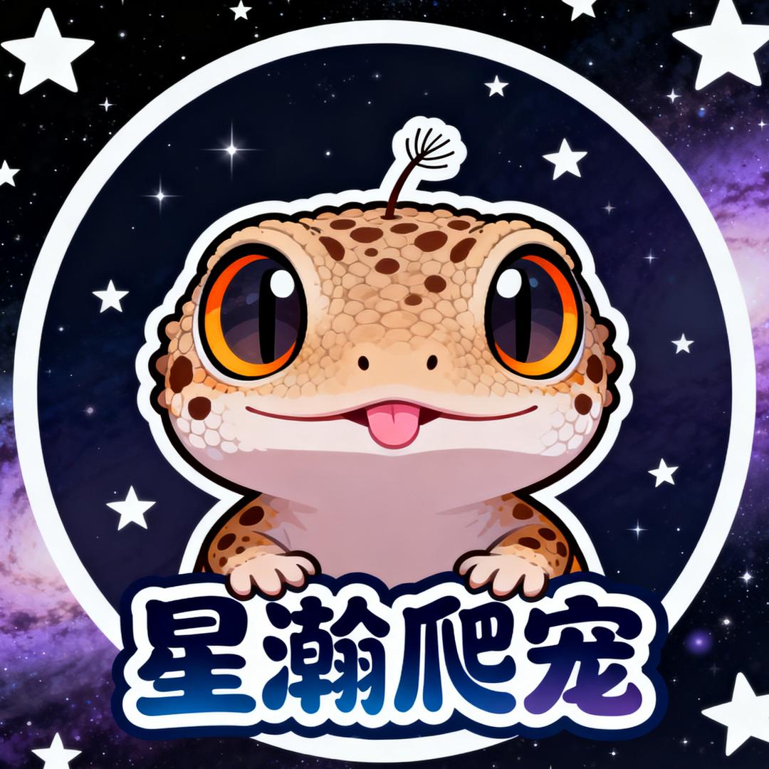 西宁市星瀚爬宠