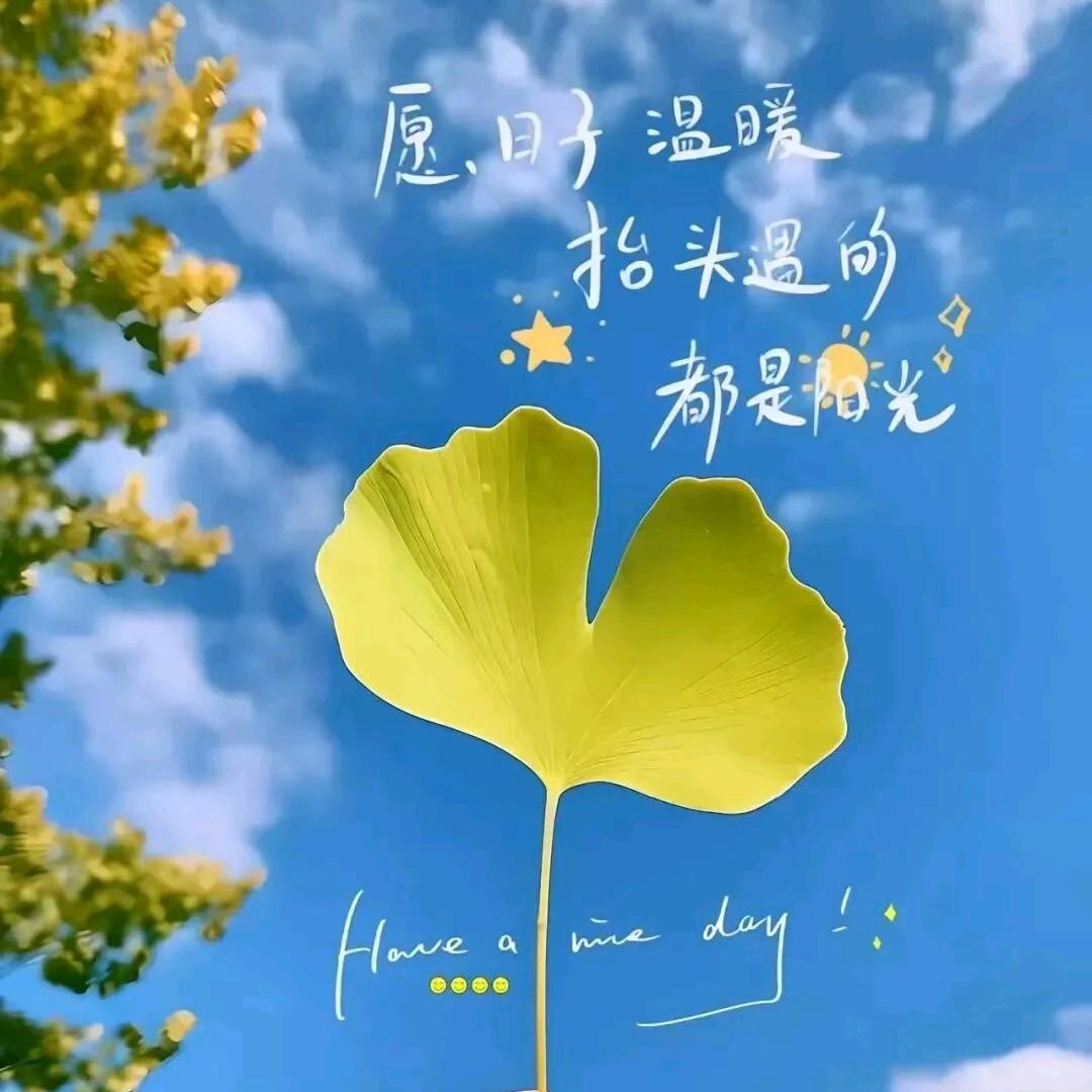 💞余生爱自己💕