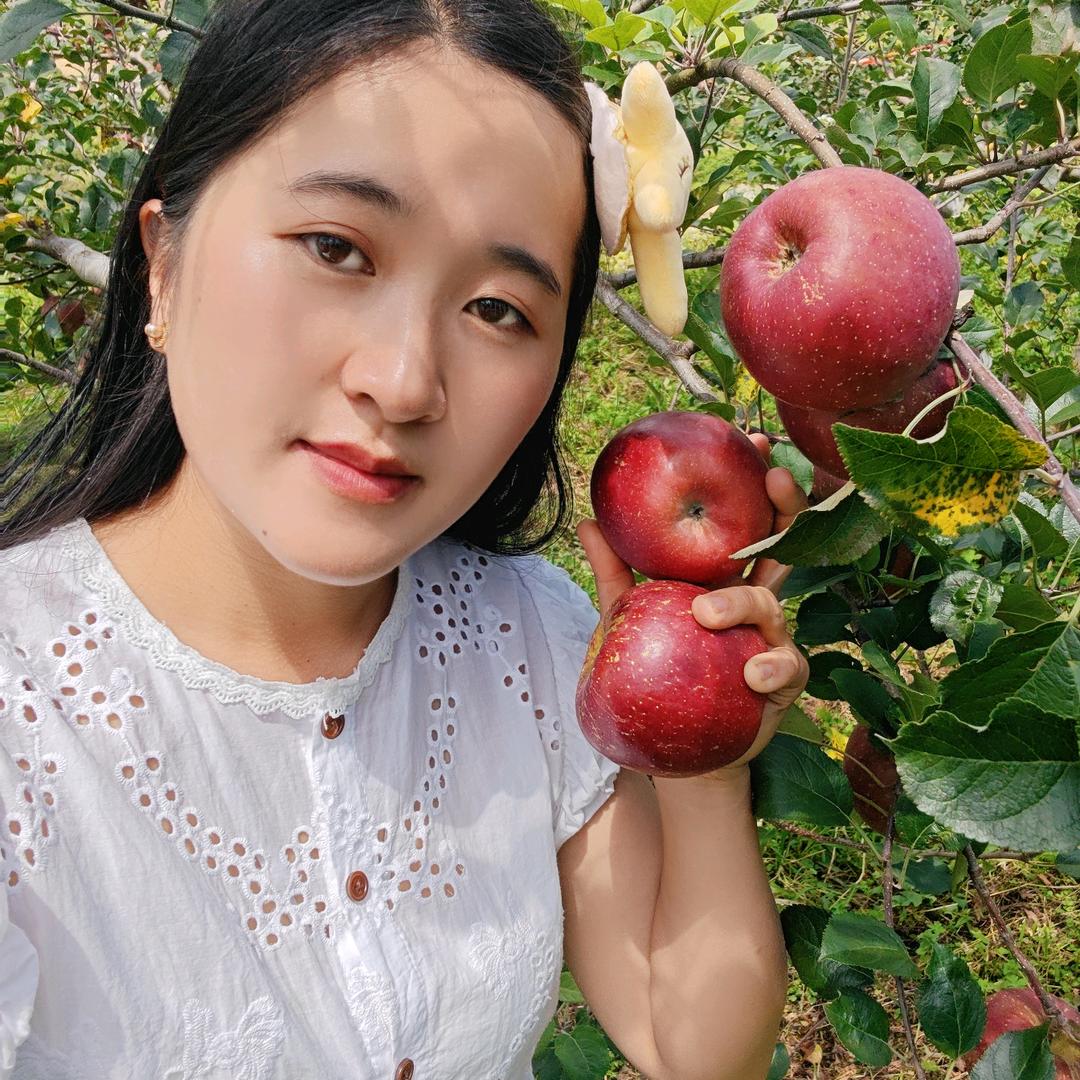 陈露丝