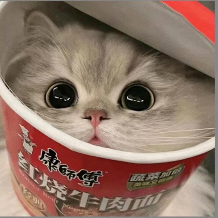 林 木木