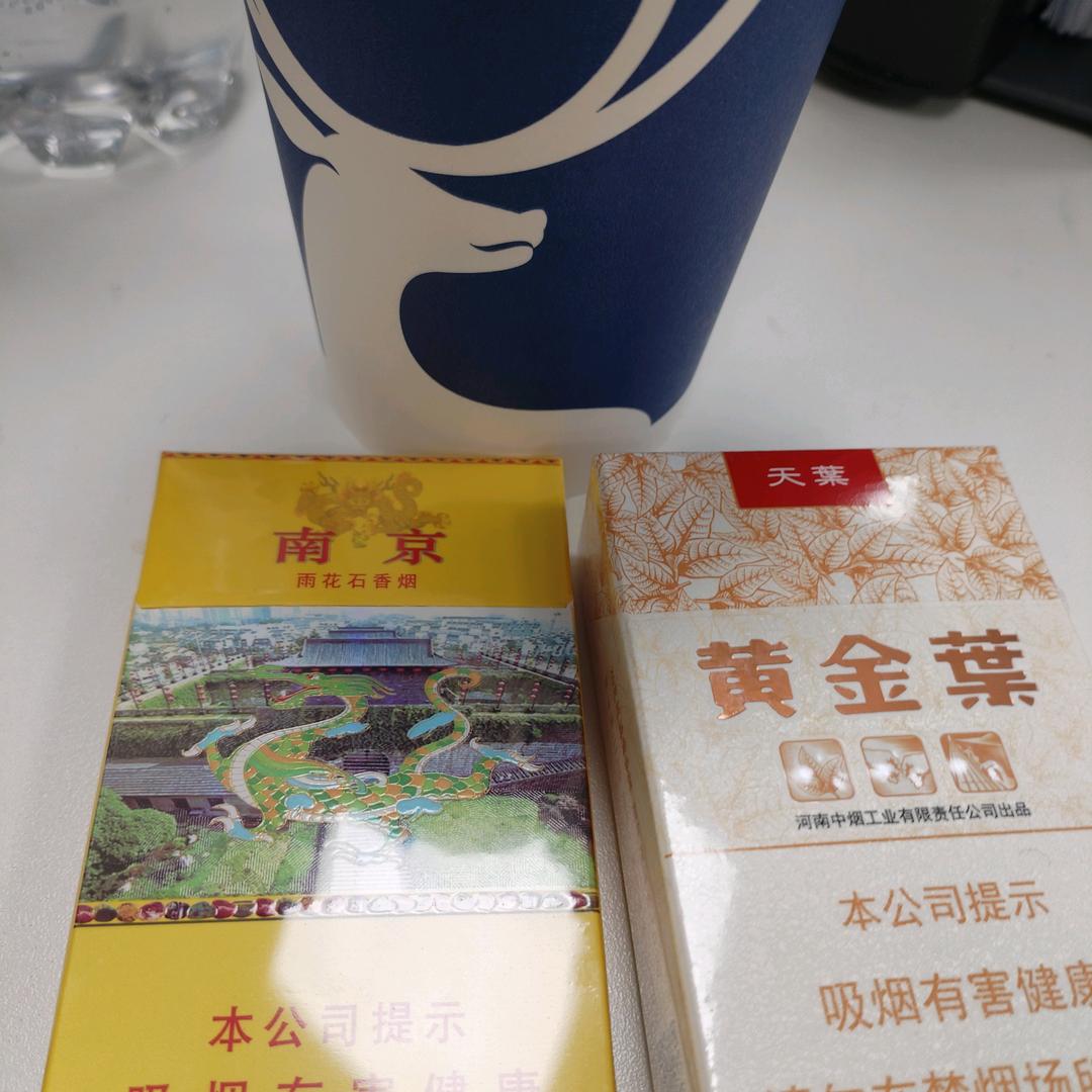 简晨