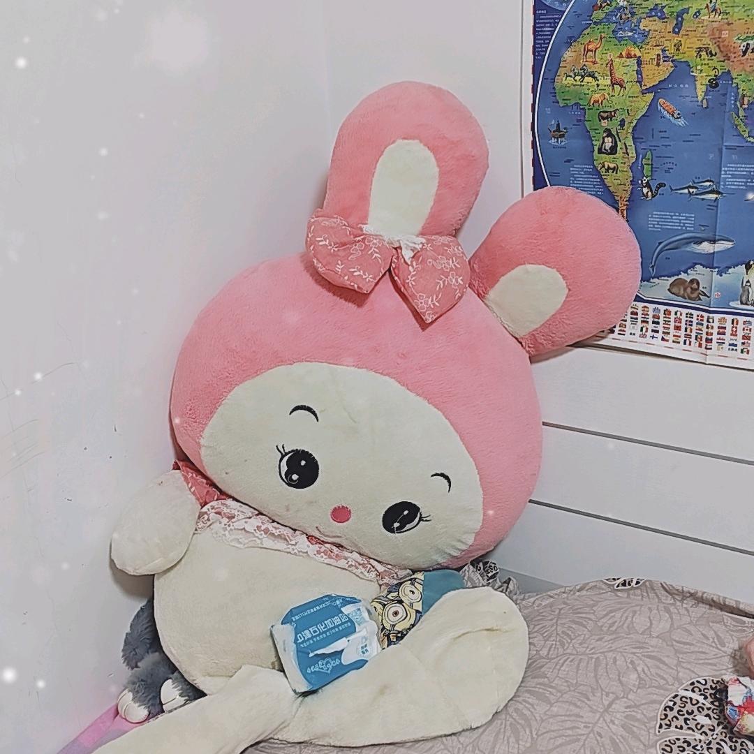 小早自媒体
