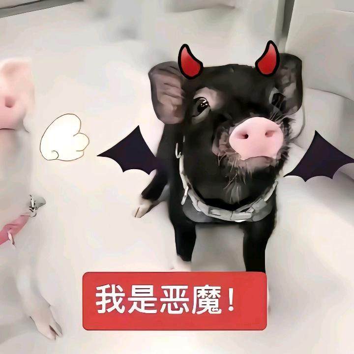 一口八个蛋挞
