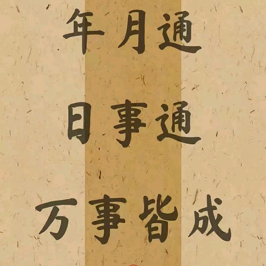 爱宠物的小姐姐