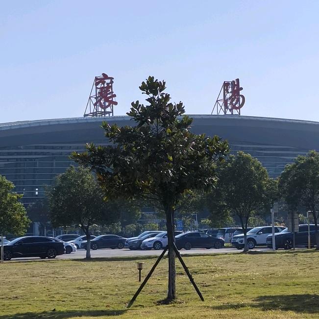 清雅幽兰