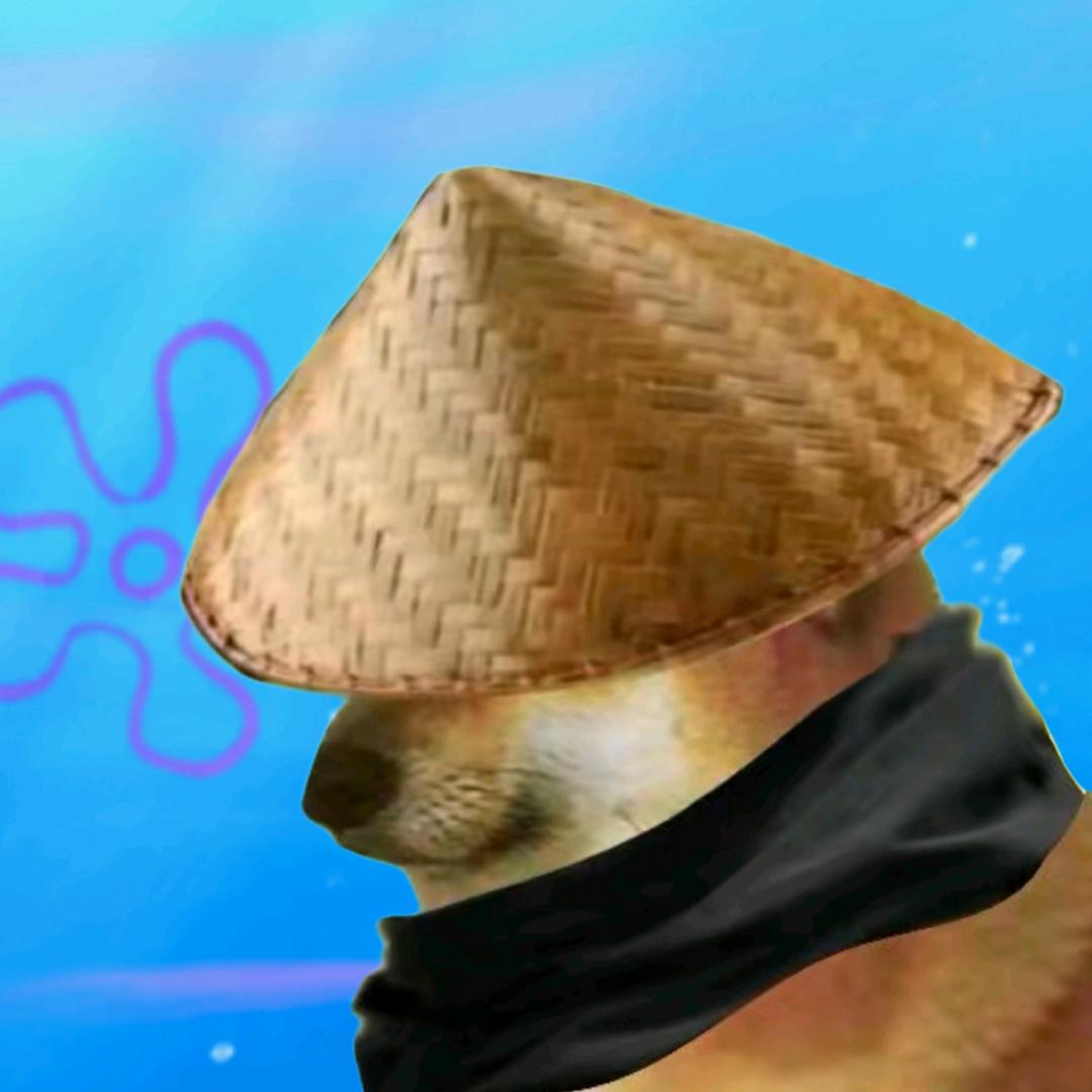 金二狗游戏解说