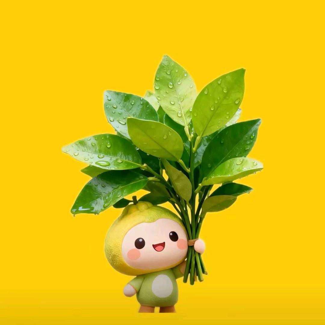 上上签🎐