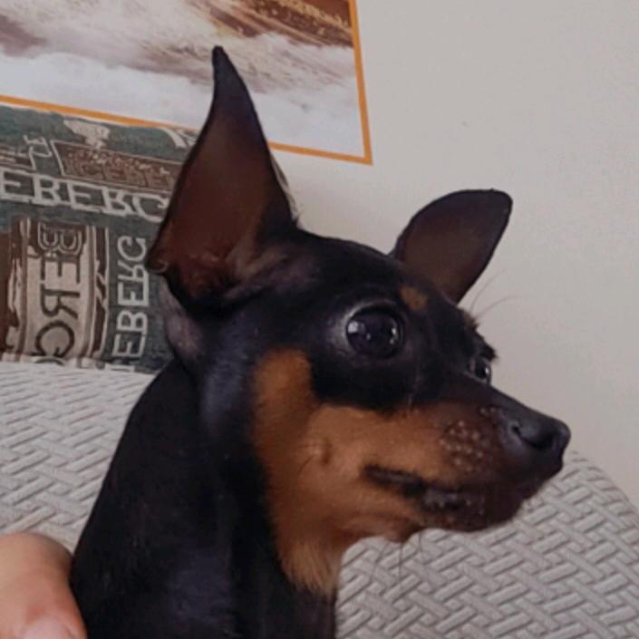 💪唯我独尊❤️