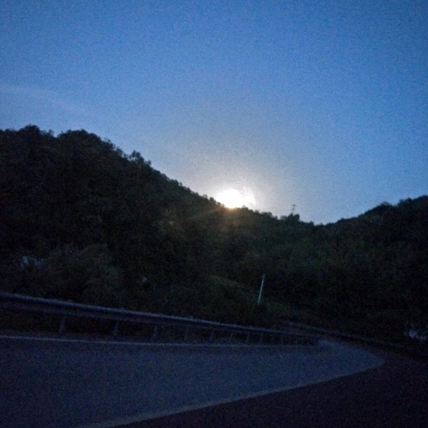 飘