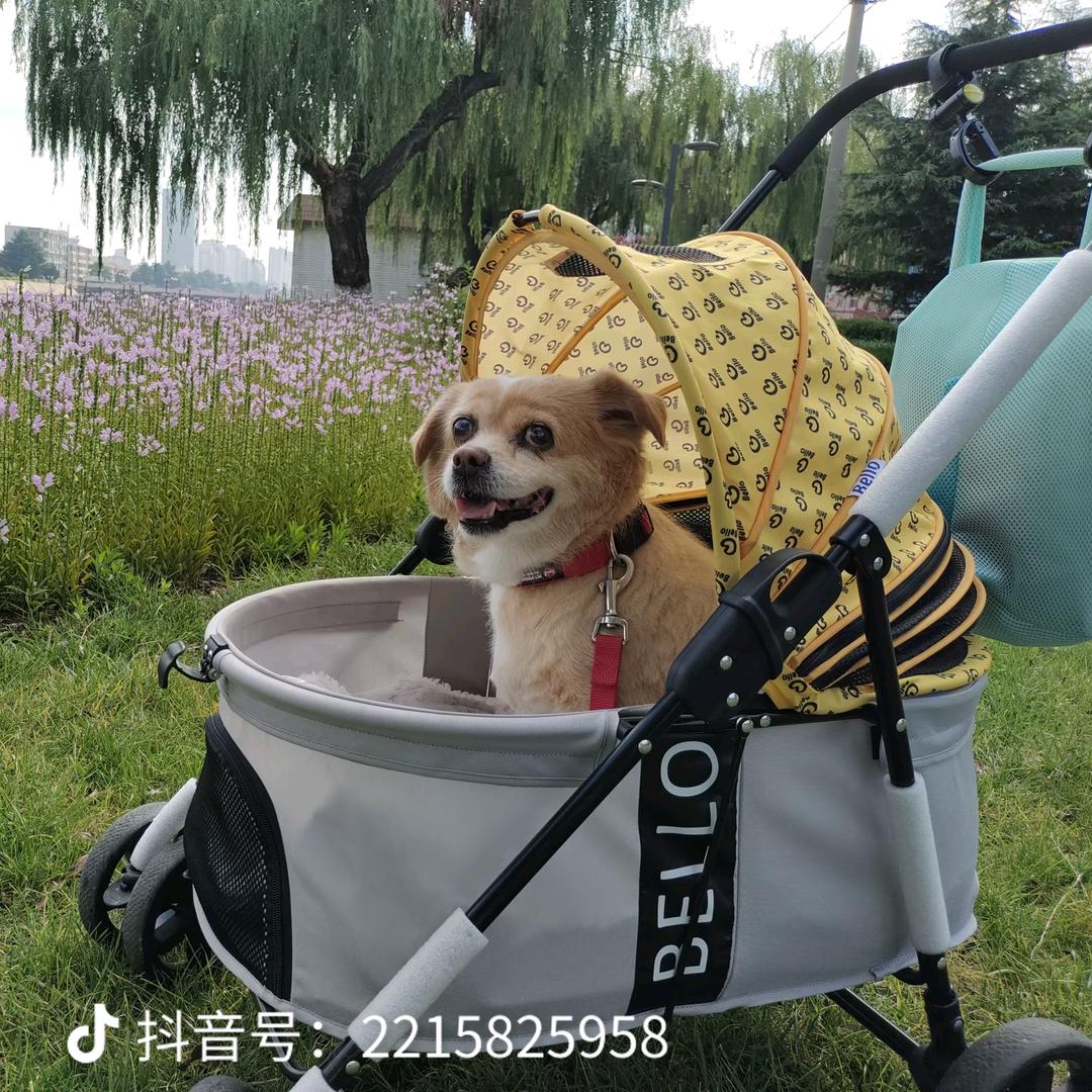 小桔