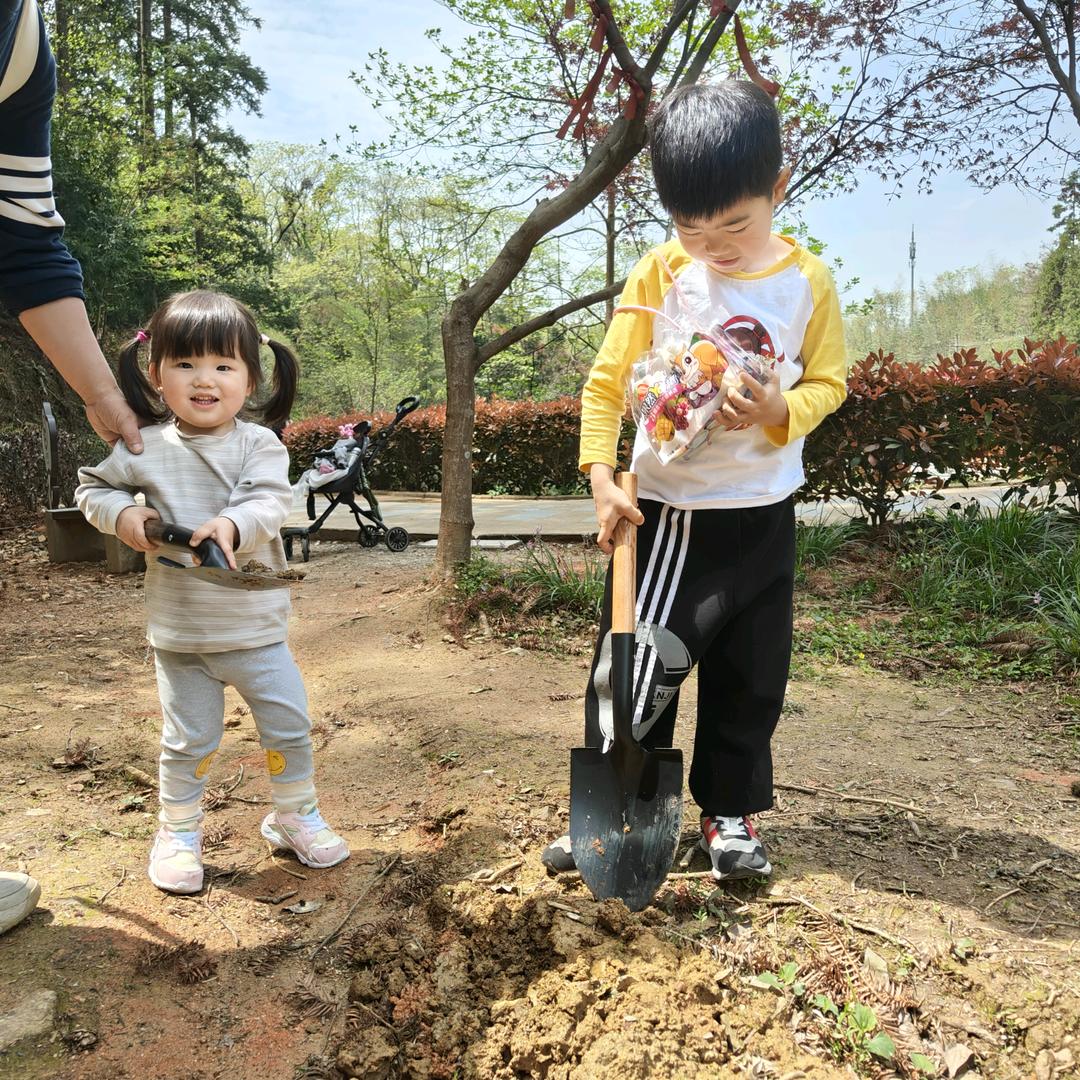 凯迪仕智能电器旗舰店