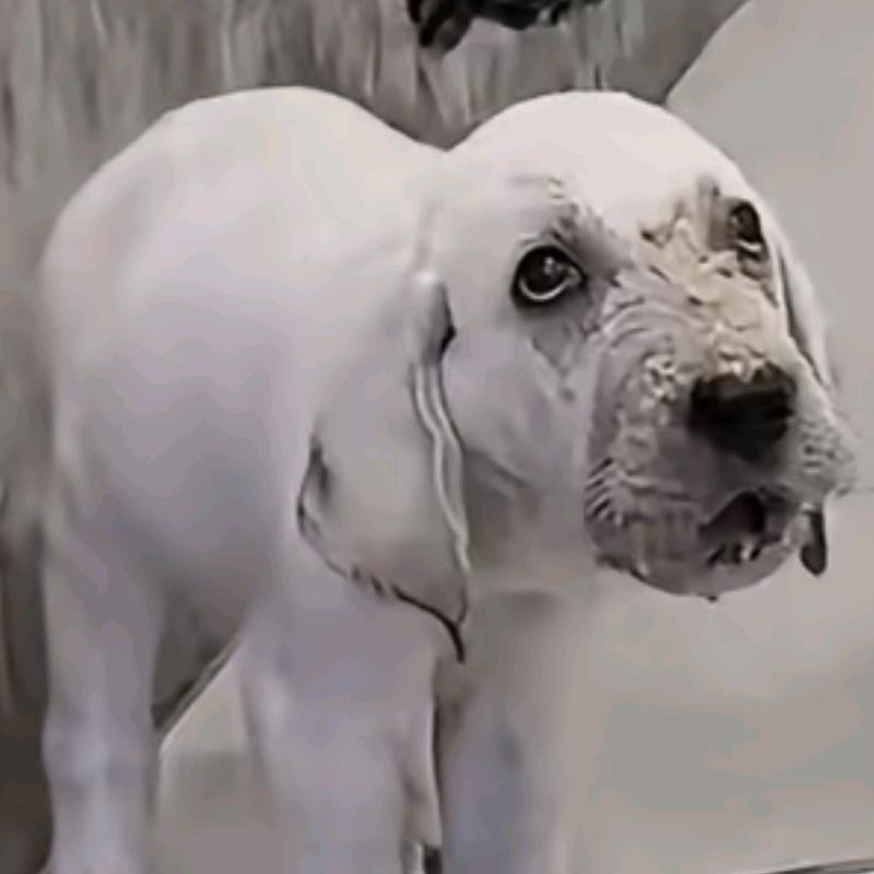 火旺（三角洲和mc）