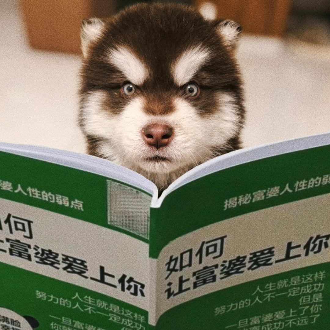童匠映画儿童摄影—子超