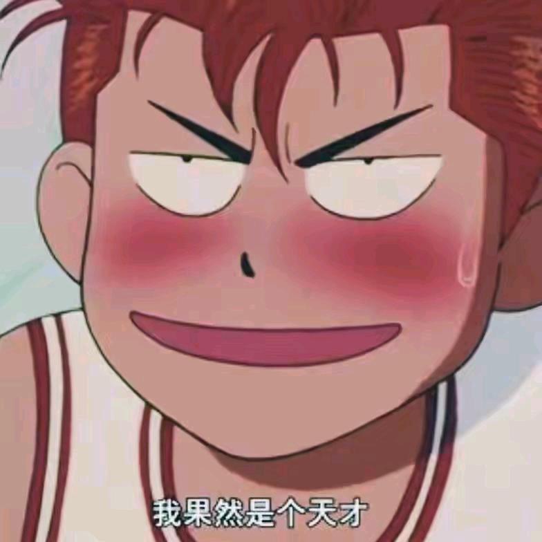 看了个剧