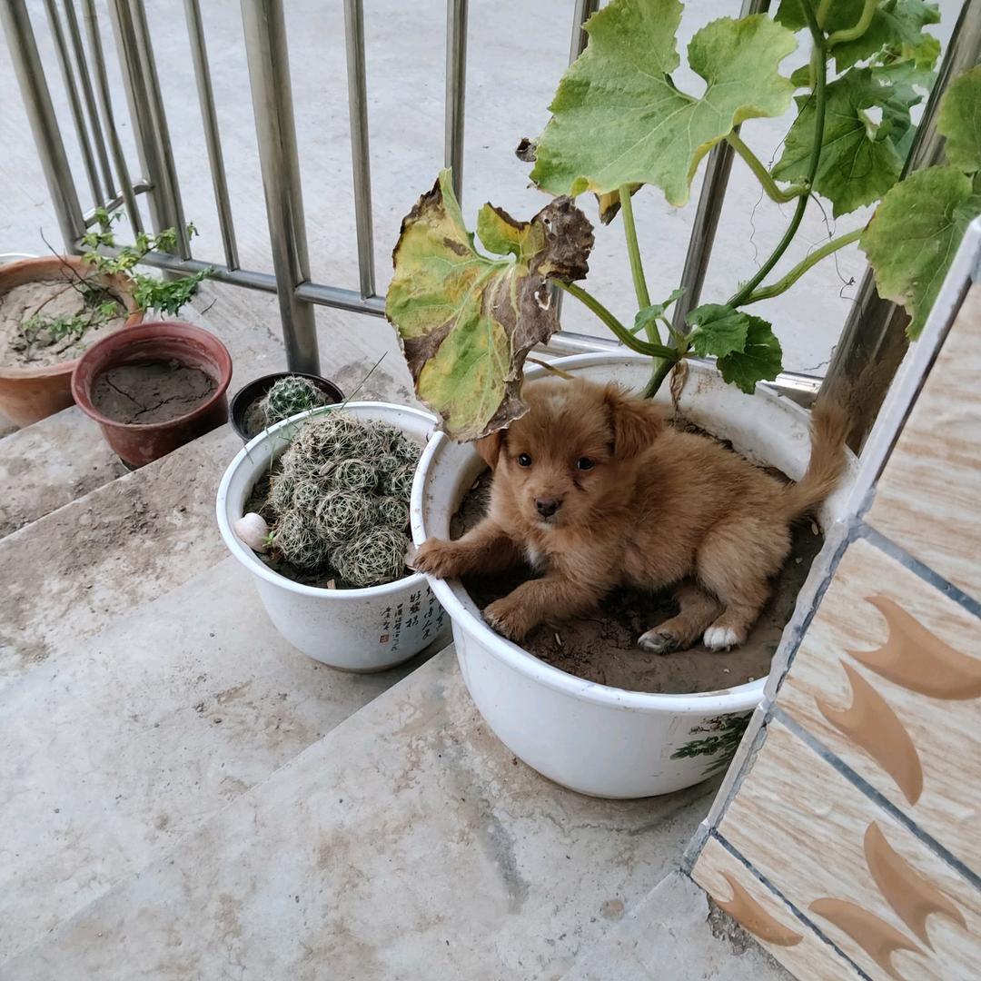 匆忙岁月的人生
