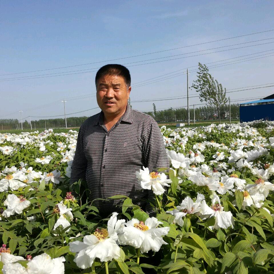 郭心强农资，天背，六国