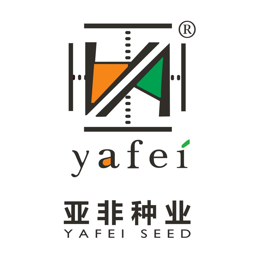 亚非种业皱叶菜、西兰花种子基地小王