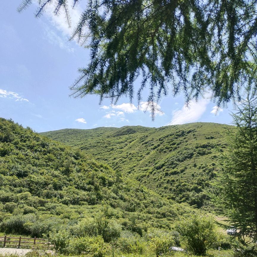 依风听雨
