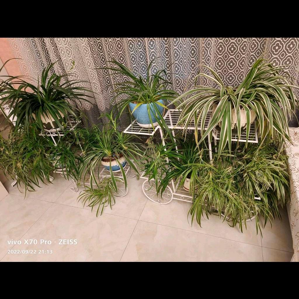 ❤️❤️❤️❤️❤️💕💕💕💞💞