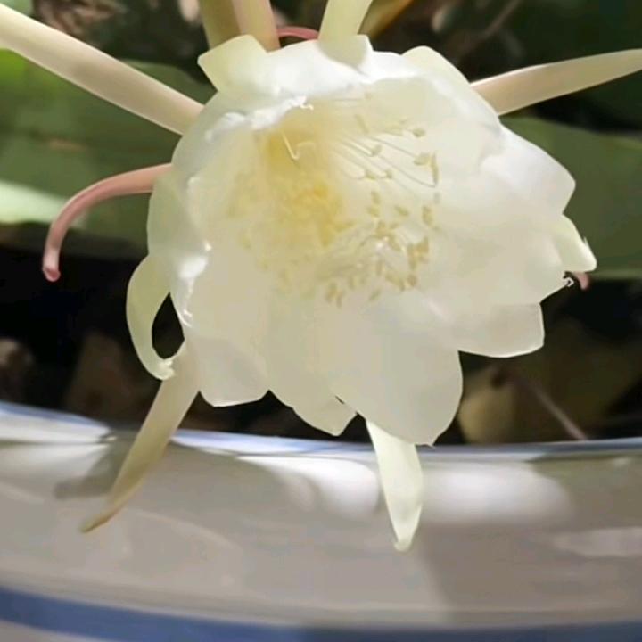 👑饿得慌👑1687