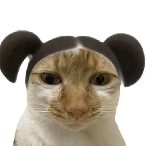 李华爱吃芹菜💜