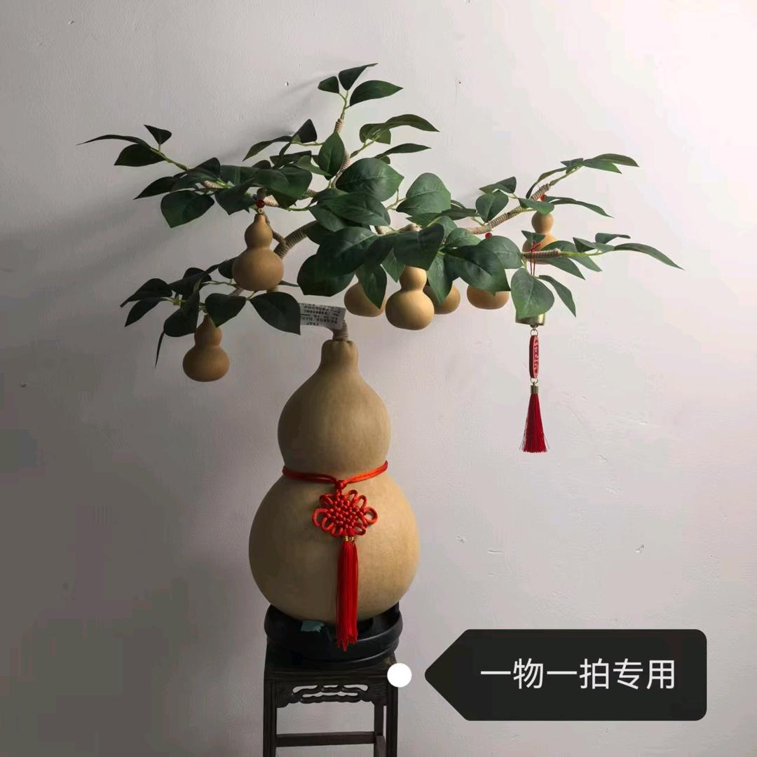 非梵葫芦