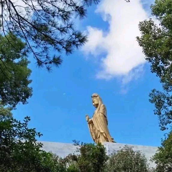 淮南要家房产经纪有限公司学院南路分公司