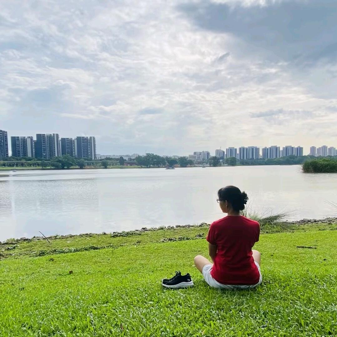 玫瑰书香（12.40）