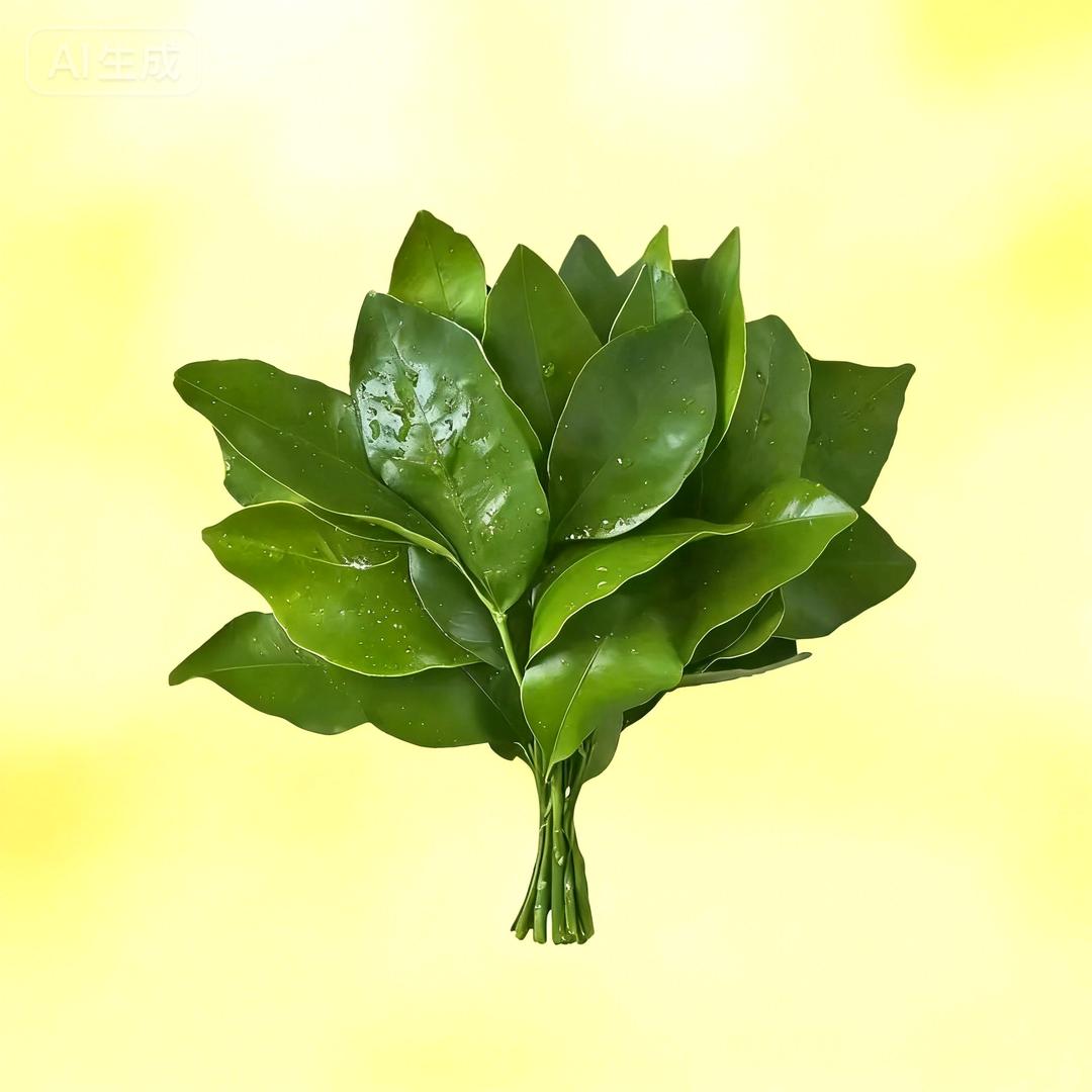黄博瀚