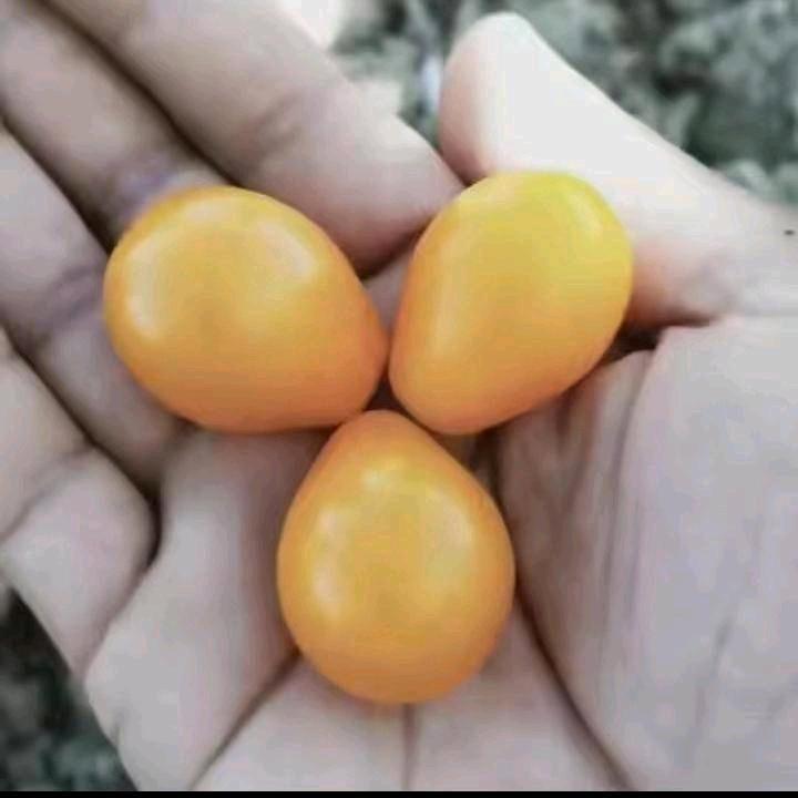 阿卜杜克热木886🌿🌿🌿🌿🌿