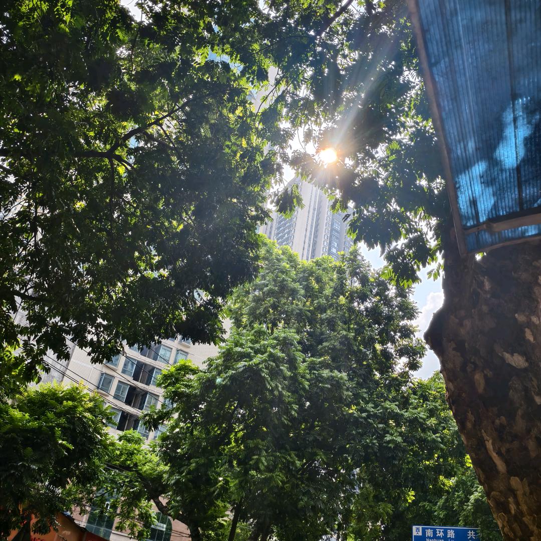 童七七（见过十勤版）