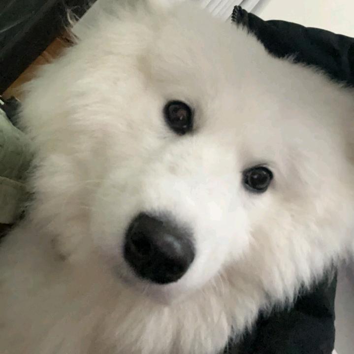 十二爱玩游戏