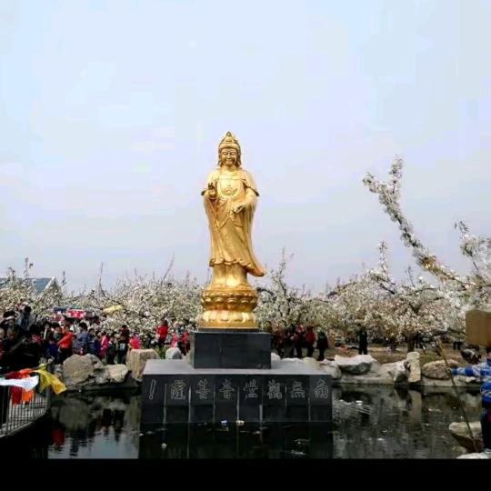 昌哥