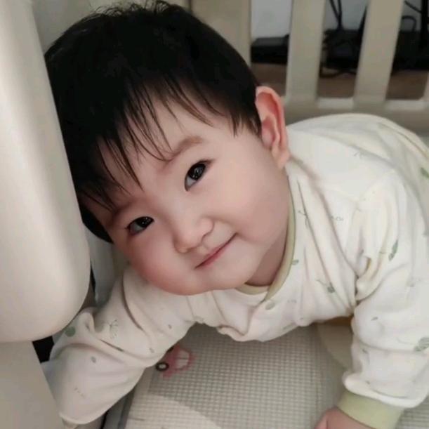 团团的甜美梦想