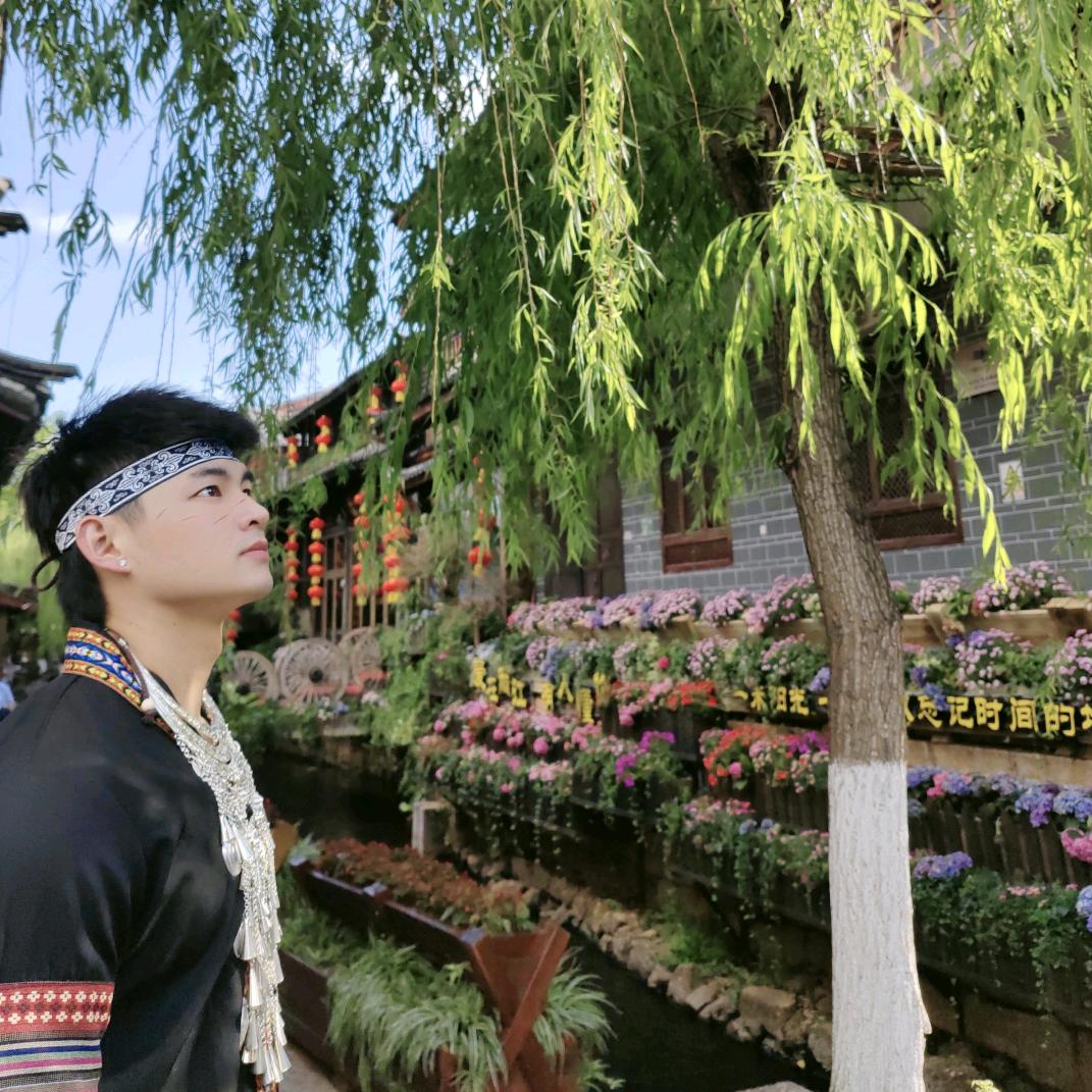菜叽