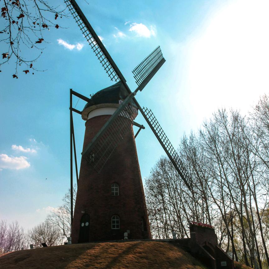 睡不着的吴睡睡LR