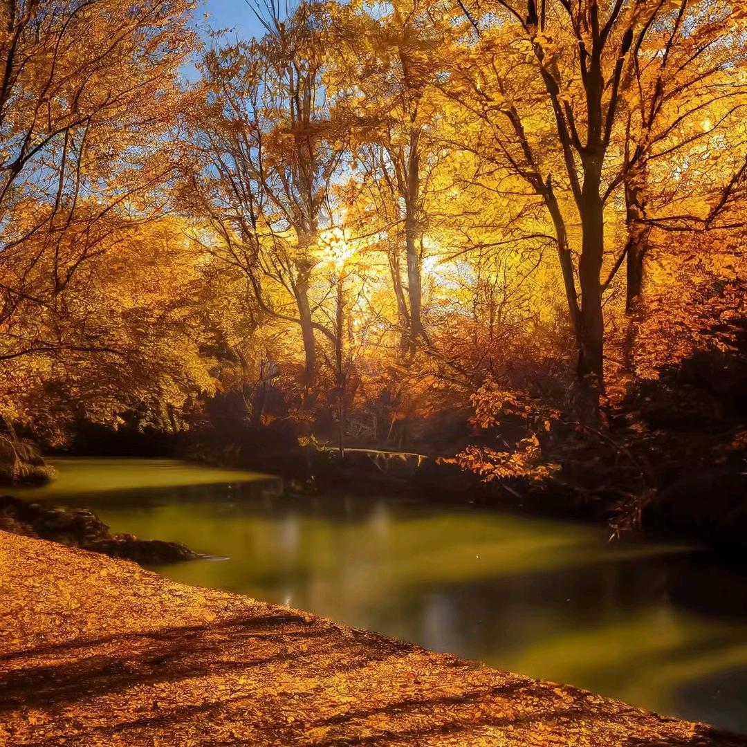 明月清风🍍¹⁰¹⁷