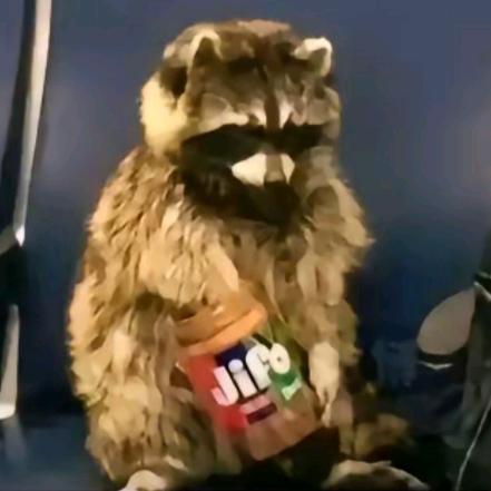 瓶子浣熊花生酱